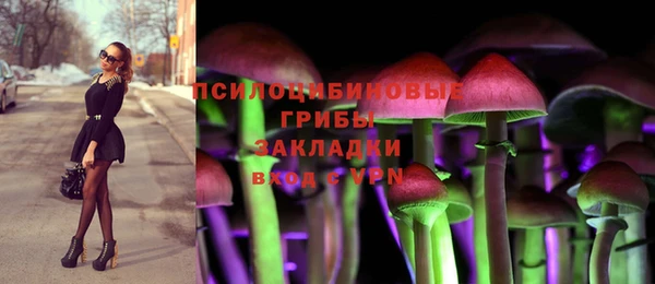 бошки Балахна