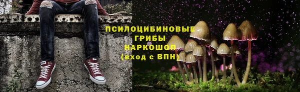спайс Баксан
