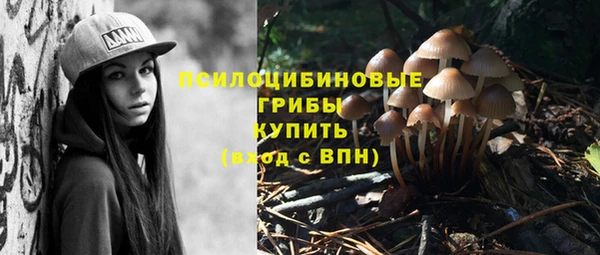 спайс Баксан